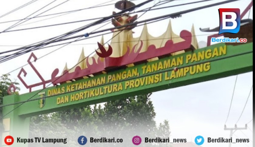Temuan BPK Soal Alsintan di Lampung, Amel: Hanya Administrasi, Tak Ada Kerugian Negara dan Tak Ada Kaitannya dengan Anggota DPR RI