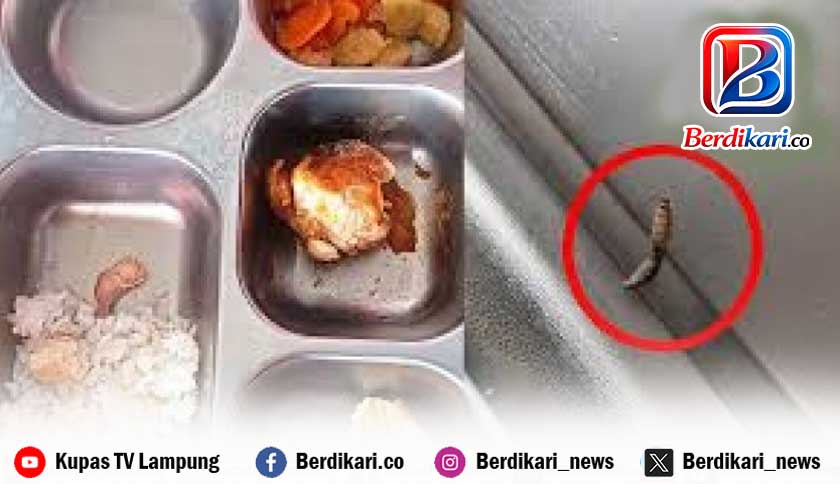 Temuan MBG Lampung Barat Berujung Sanksi, Pengawasan Diperketat