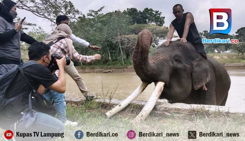 Berita