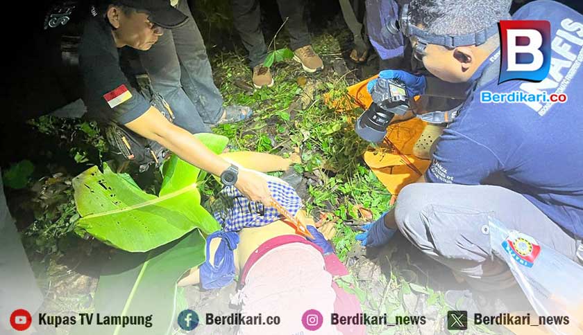 Wanita Dirampok Diperkosa Lalu Dibunuh di Kebun Karet Lamsel